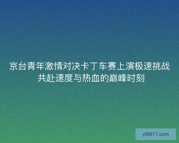 京台青年激情对决卡丁车赛上演极速挑战 共赴速度与热血的巅峰时刻